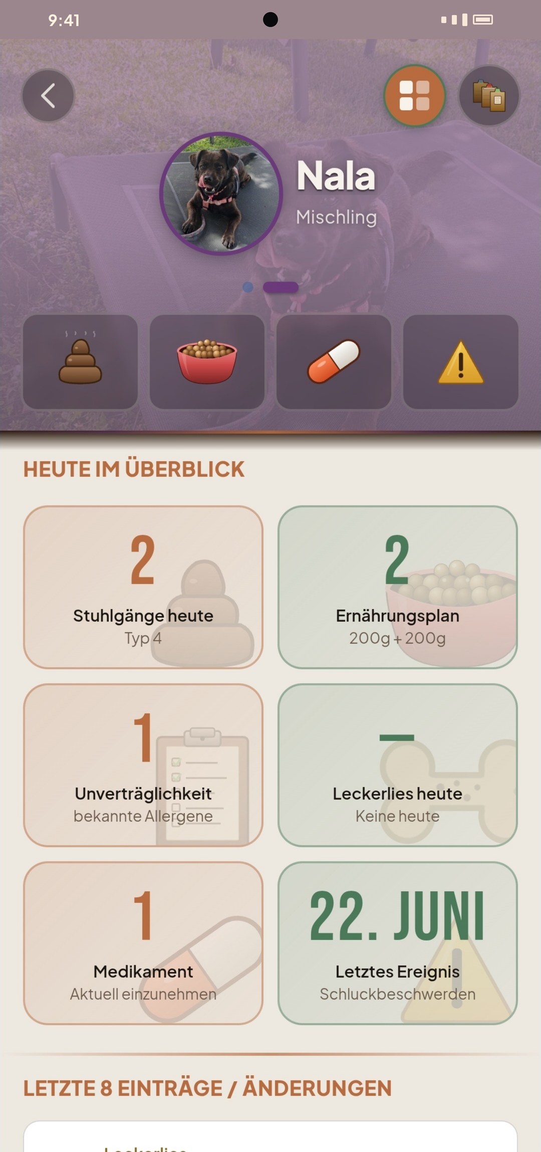 Hunde-Übersicht