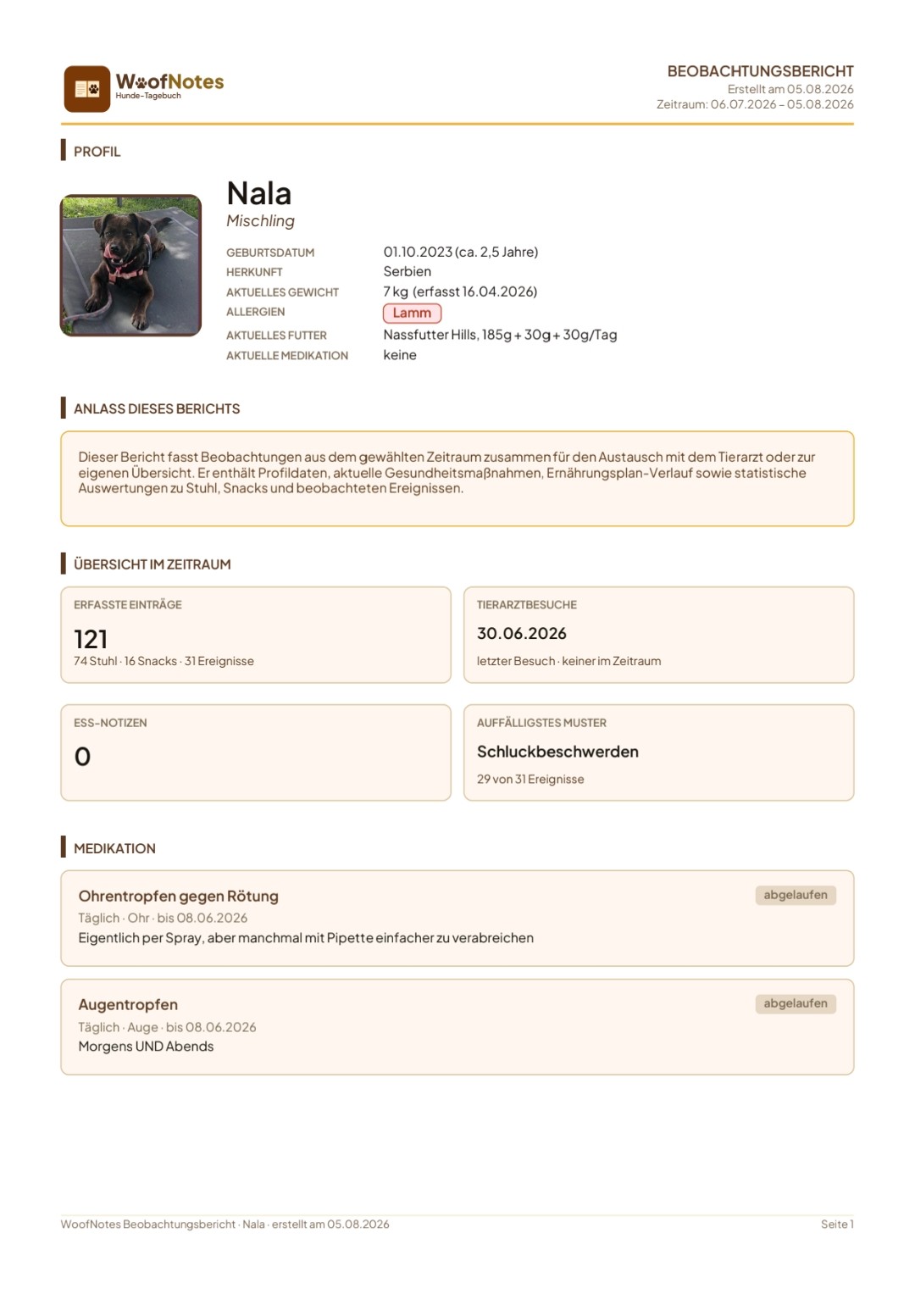 PDF-Bericht